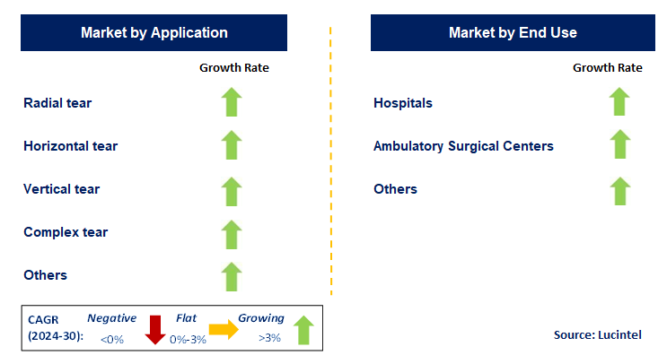 Meniscus Repair System by Segment